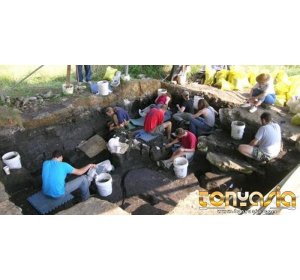 Ular Memiliki Sayap Ditemukan di Lubang Berusia 5 Juta Tahun | Bandar Slot Games | Slot Games